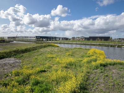 Bouwkavel Zuidersingel - kavel I 2651 AK Berkel en Rodenrijs