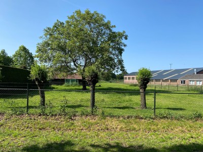 Kennisstraat 1 5724 AP Ommel