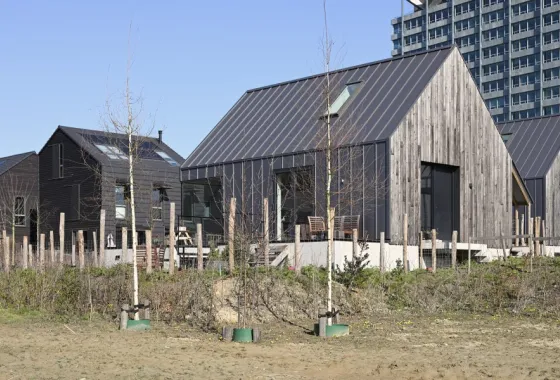 Schijn bedriegt - tiny house of niet?