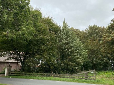 Bouwgrond Canterlânswei 2