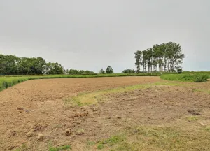 Bouwgrond Koekoeksweg 3