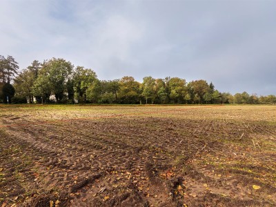 Bouwgrond Voortweg