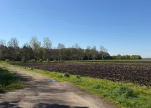 Bouwgrond Boslaan - kavel : 1- 2 -3.