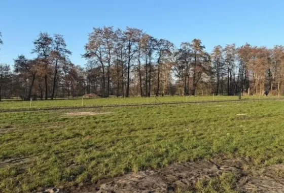 Bouwgrond De Geasten kavel 1-2-3.
