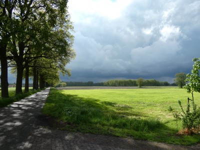 Bouwgrond Koninksweg