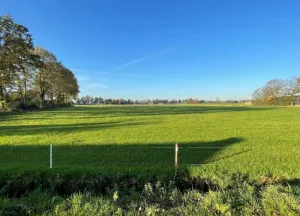 Bouwgrond Laar