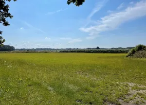 Bouwgrond Schaapsdijk