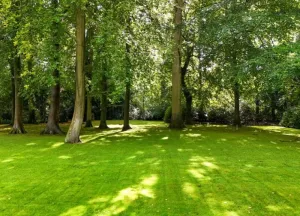 Bouwgrond Groen van Prinstererlaan kavel 1 en 2
