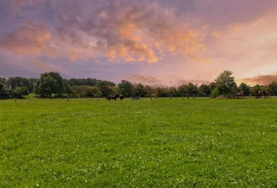 Bouwgrond Ommerweg