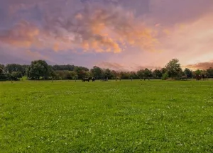 Bouwgrond Ommerweg