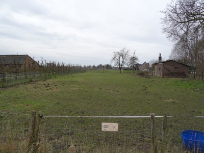 Florastraat-Boven-Leeuwen