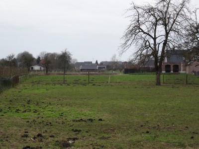 Florastraat-Boven-Leeuwen