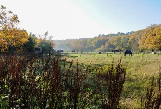 Bouwgrond Duinweg 58