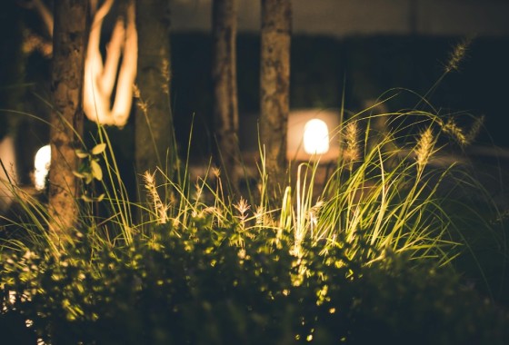 Zo pak je het aanleggen van een tuin op jouw bouwkavel aan - 