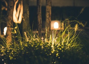 Zo pak je het aanleggen van een tuin op jouw bouwkavel aan