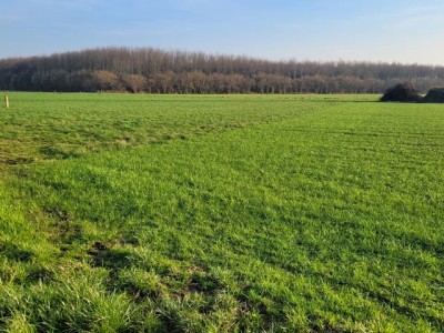 Bouwgrond De Kamp