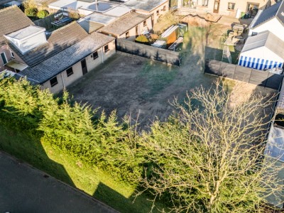 Bouwgrond Korenbloem
