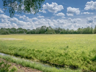 Bouwgrond De Broeken