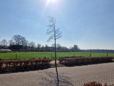 Bouwgrond Roosendaalsebaan