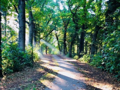 Bouwgrond Hondsbergselaan