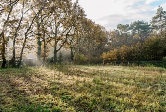 Bouwgrond Van Erven Dorenspark naast 10