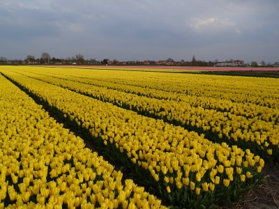 Bouwgrond Noorder Leidsevaart 26