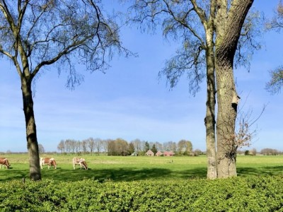 Bouwgrond De Grave - Kavel 51-52