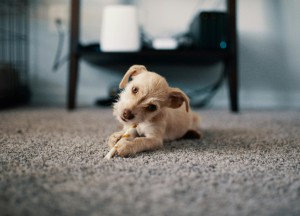 Een vloer die met je meebeweegt: ideaal voor gezinnen én afbouwers