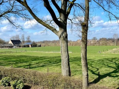 Bouwgrond De Grave - kavel 61