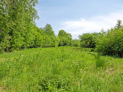 Bouwgrond West