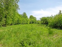 Bouwgrond West
