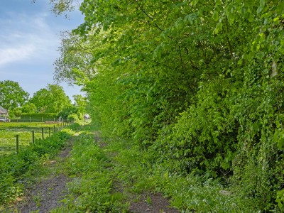 Bouwgrond West