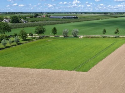 Bouwgrond Trechtweg
