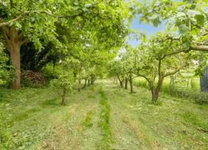 Bouwgrond Parallelweg naast 2B Wijchen