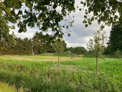Bouwgrond Molenkampseweg 12