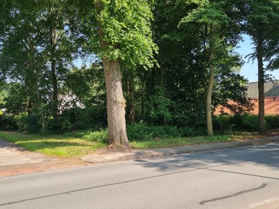 Bouwgrond Uiterburen