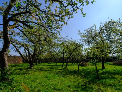 Bouwgrond Heuveltje 6