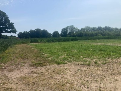 Bouwgrond Oude Postweg