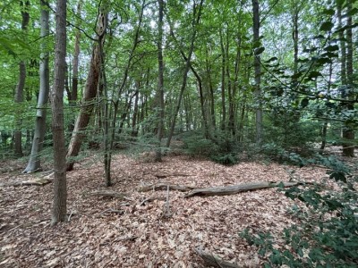 Bouwgrond Prins Hendriklaan 7