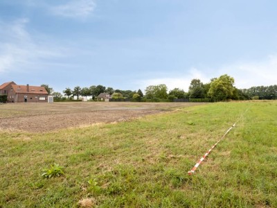 Bouwgrond Elsteren
