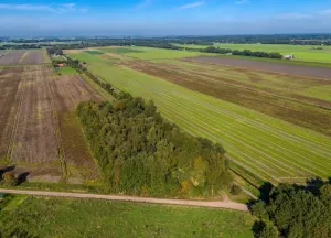 Bouwgrond 2e Dalweg 10