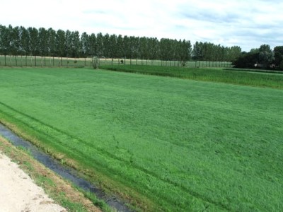 Bouwgrond Middendijk 69