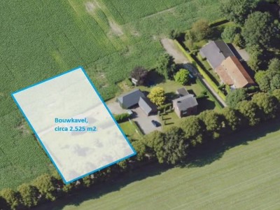 Bouwgrond Koekoek