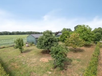 Bouwgrond Koekoek