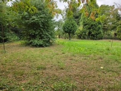Bouwgrond Oude Maasdijk 24