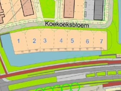 Bouwgrond Koekoeksbloem
