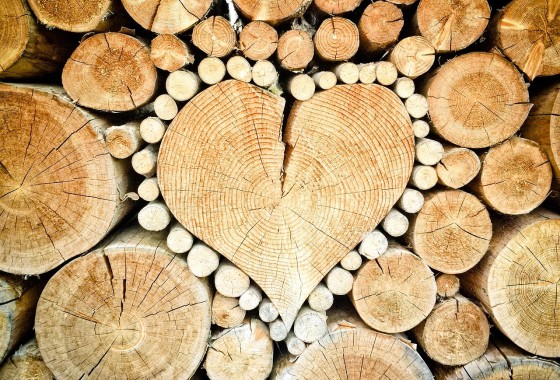 Handel in kwaliteitsproducten: van gereedschap tot houtsoorten - 