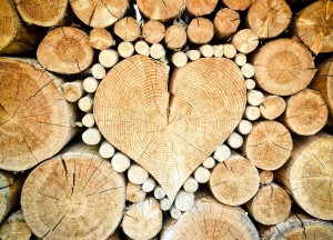 Handel in kwaliteitsproducten: van gereedschap tot houtsoorten