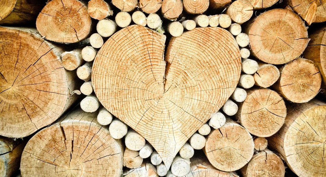 Handel in kwaliteitsproducten: van gereedschap tot houtsoorten