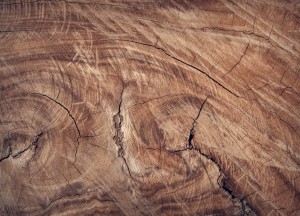 Zo kies je het juiste tuinhout voor jouw tuinproject